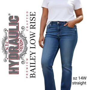 Hydraulic Bailey Low Rise Straight Stretchy Distressed Embroidered Blue Jeans